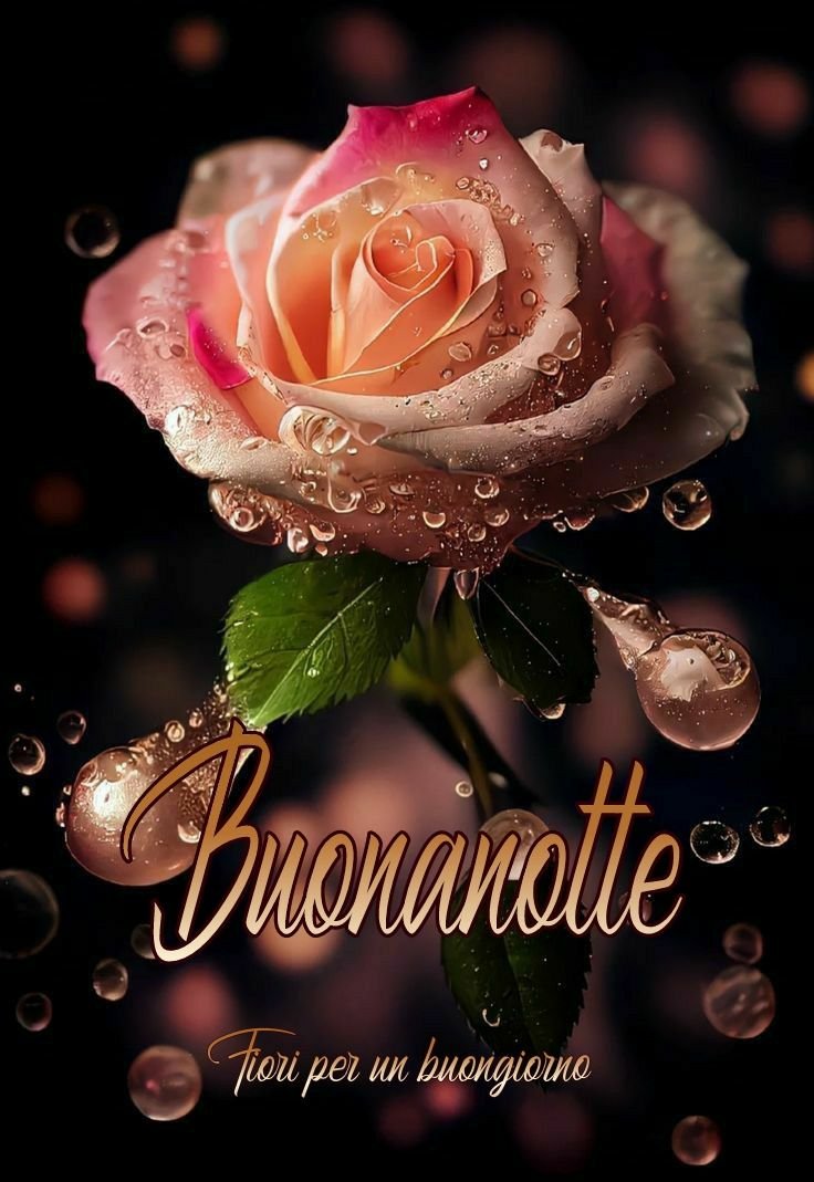 belle immagini org buonanotte belle immagini org buonanotte