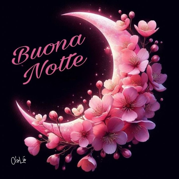 buonanotte a domani belle