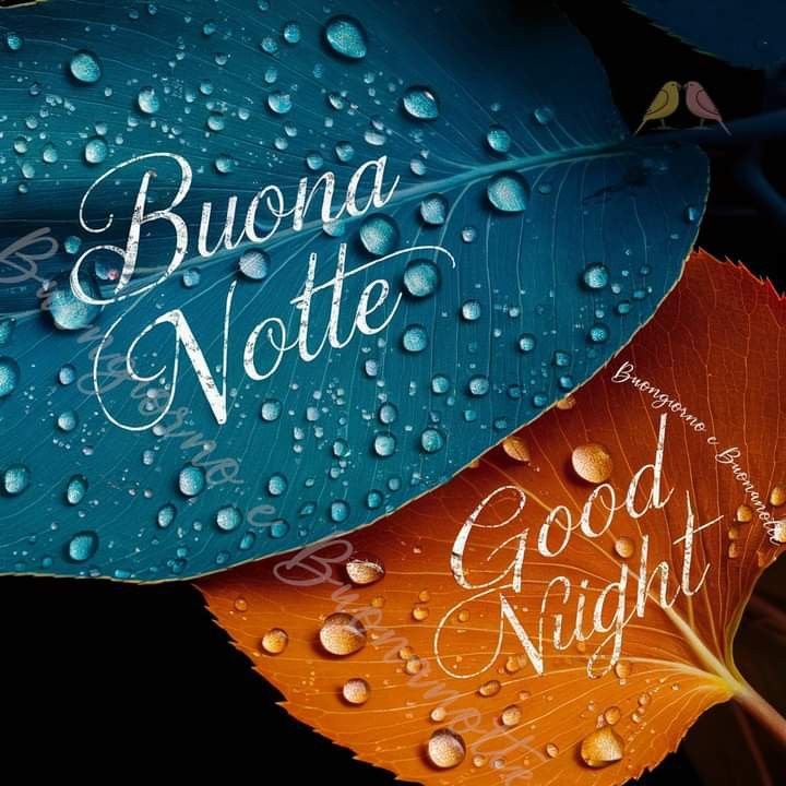 buonanotte a domani mattina immagini nuove gratis