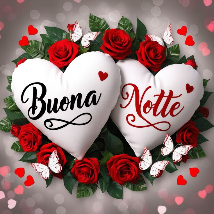 buonanotte allitalia karaoke