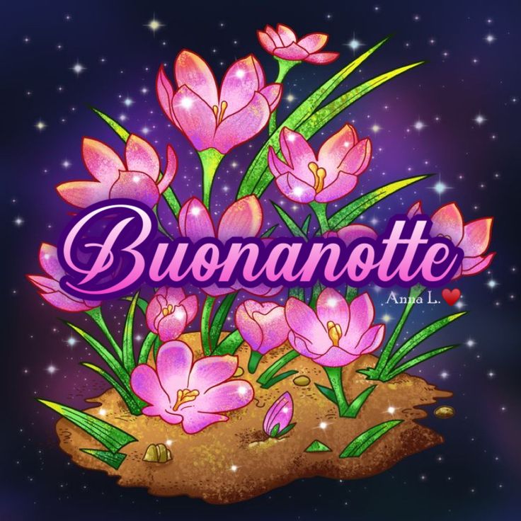 buonanotte del re buonanotte del re