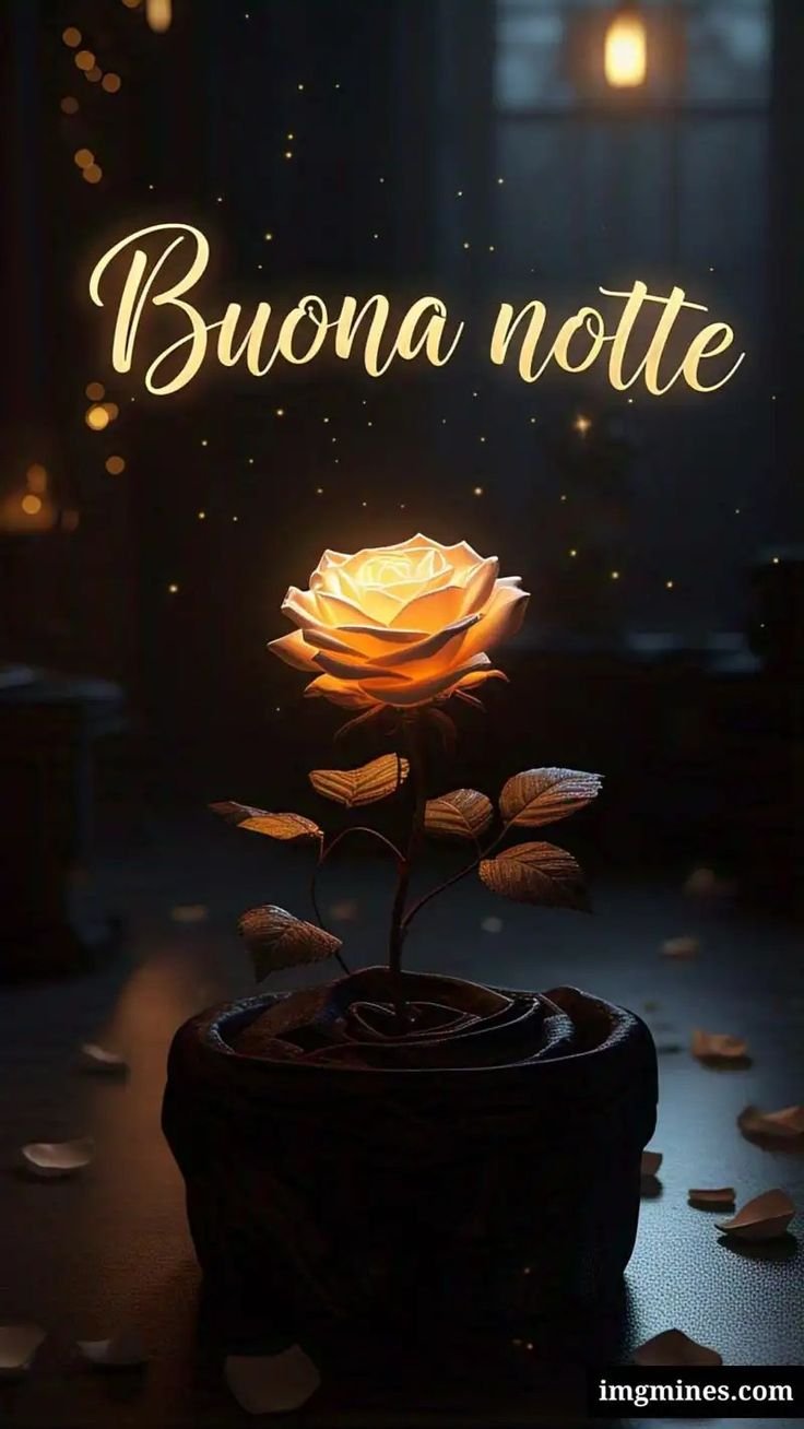 buonanotte estiva la pietra bianca