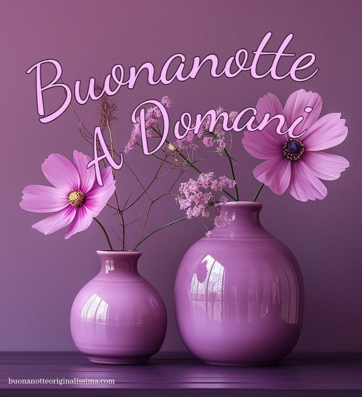 buonanotte estiva pinterest immagini