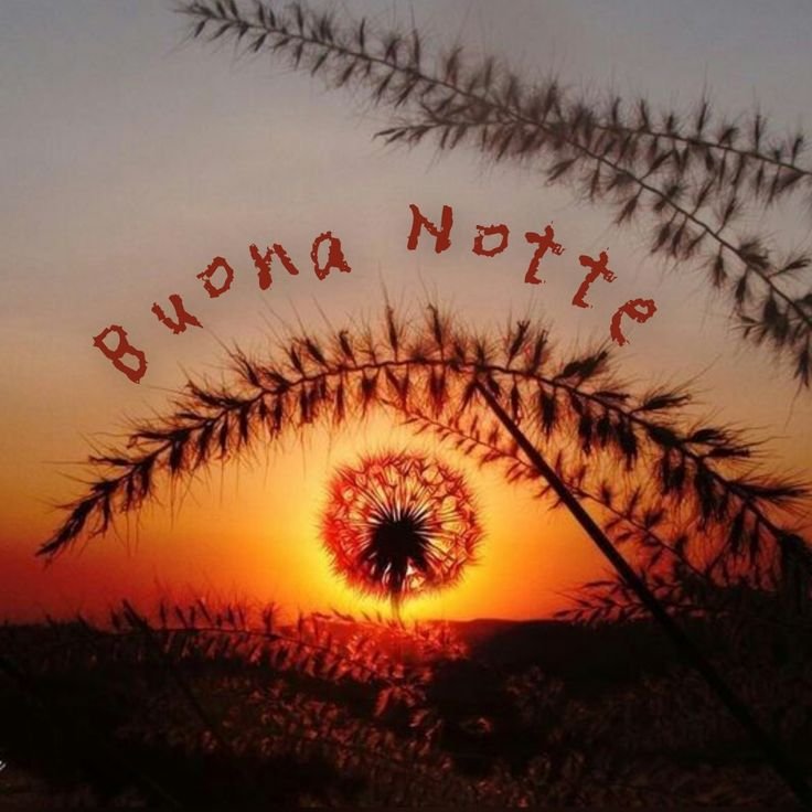 buonanotte estiva piovosa