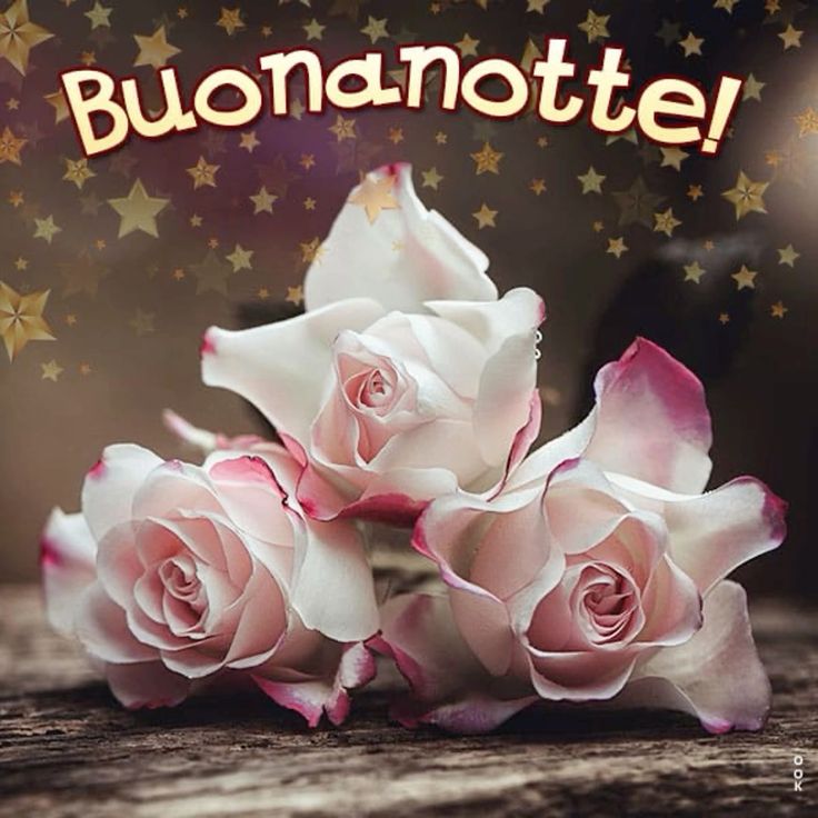 buonanotte immagini amicizia buonanotte immagini amicizia