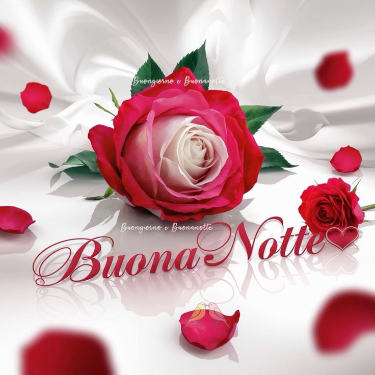 buonanotte immagini e frasi buonanotte immagini e frasi