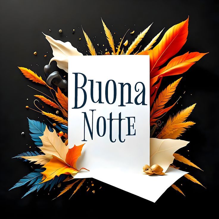 buonanotte immagini gatti buonanotte immagini gatti