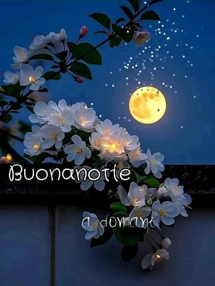buonanotte immagini mare