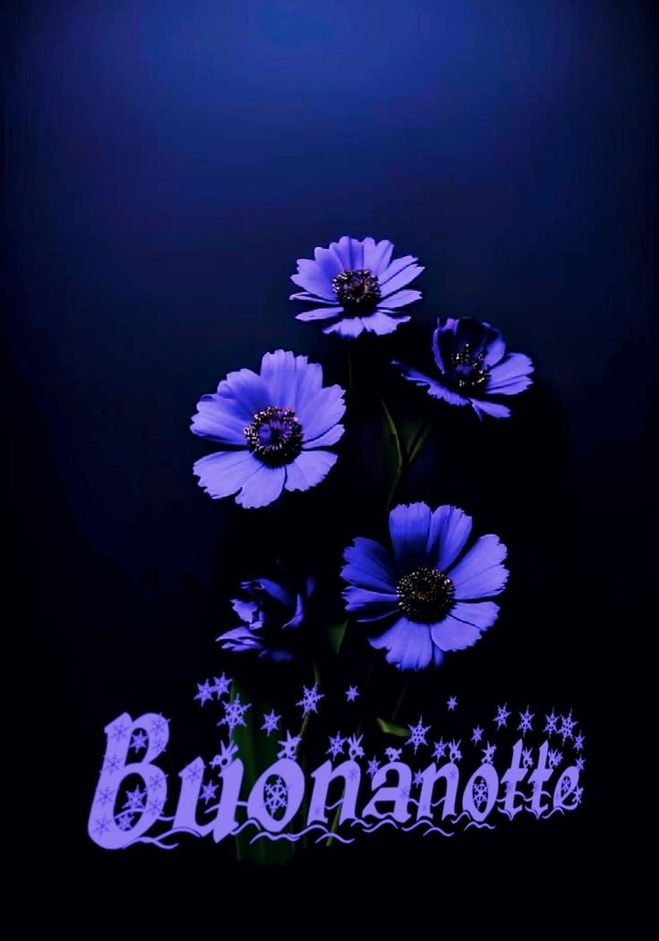 buonanotte immagini paesaggi