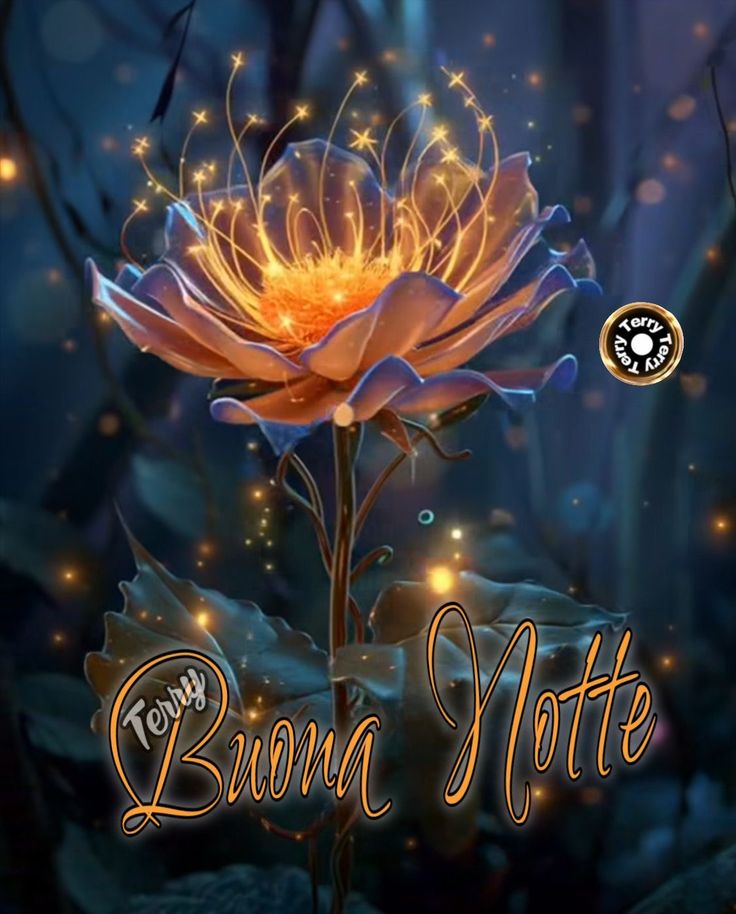 buonanotte immagini paperino buonanotte immagini paperino