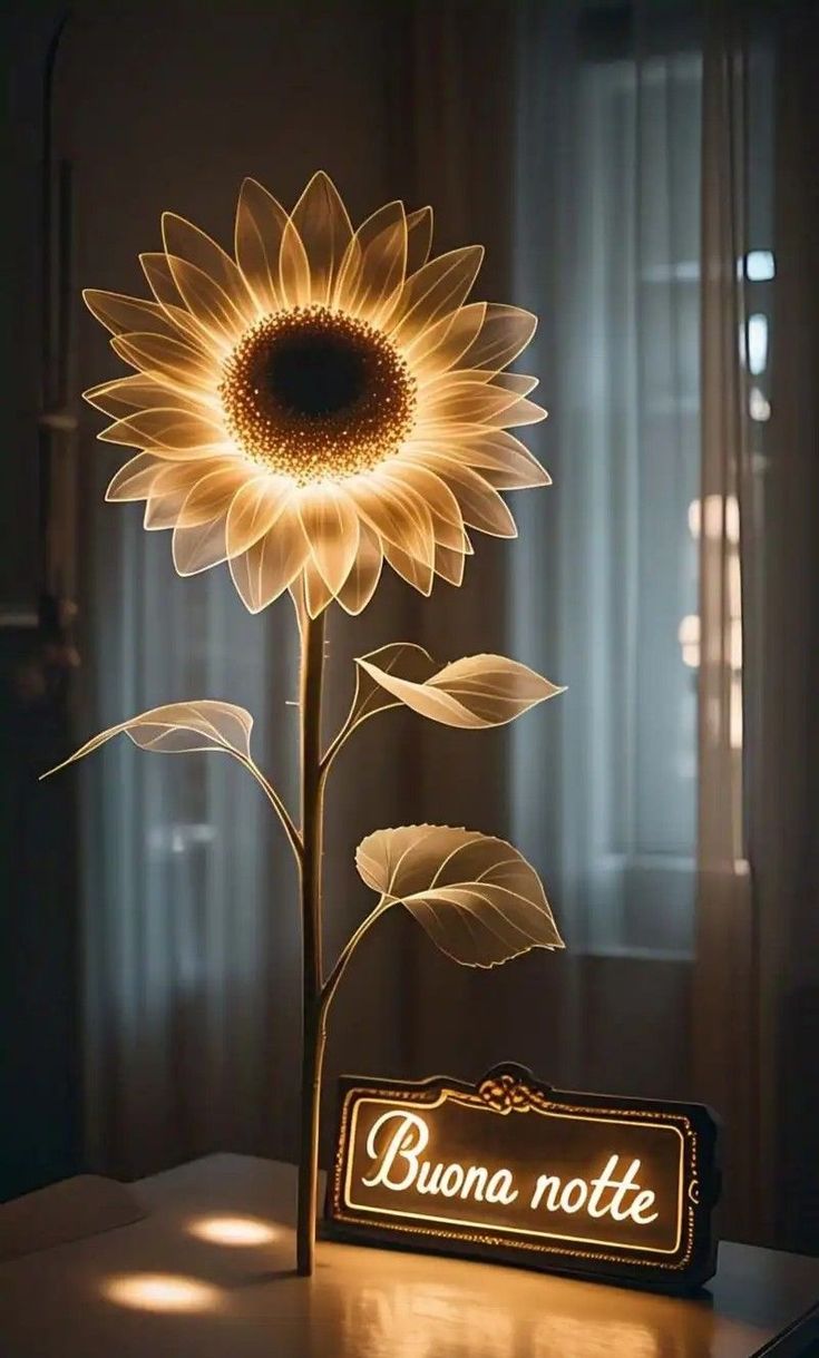 buonanotte immagini tenere buonanotte immagini tenere