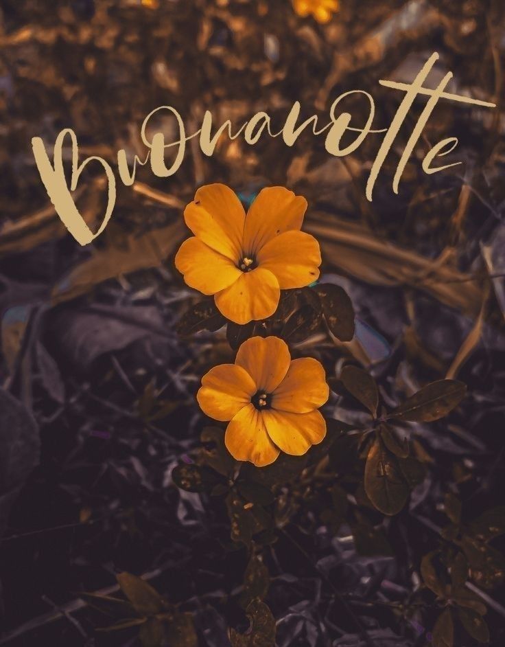 buonanotte immagini vigilia di ferragosto buonanotte immagini vigilia di ferragosto