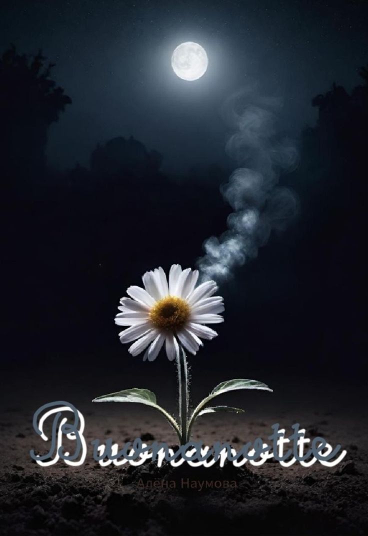 buonanotte immagini whatsapp gif buonanotte immagini whatsapp gif