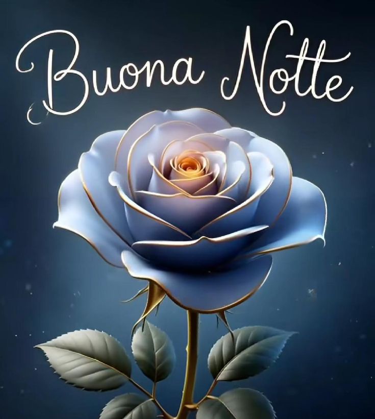 buonanotte immagini whatsapp gif buonanotte immagini whatsapp gif