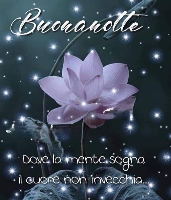 buonanotte massimo buonanotte massimo