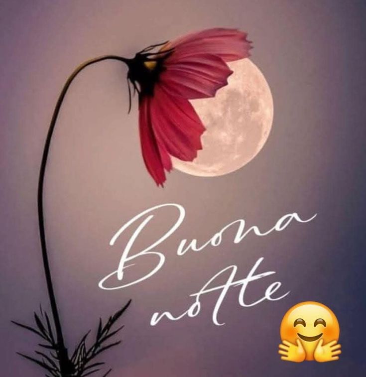 buonanotte tutti insieme appassionatamente buonanotte tutti insieme appassionatamente