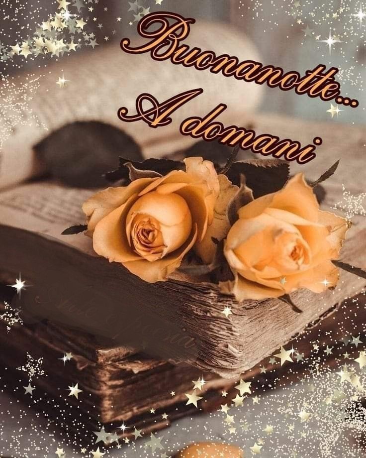 favij buonanotte favij buonanotte