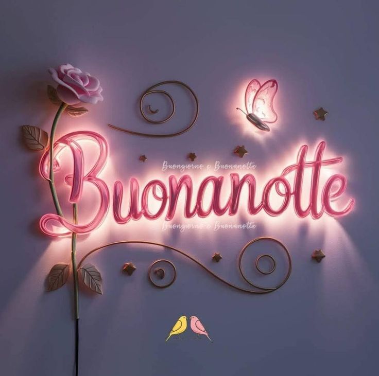 fiore pietra bianca nuovissimo buonanotte immagini recenti fiore pietra bianca nuovissimo buonanotte immagini recenti