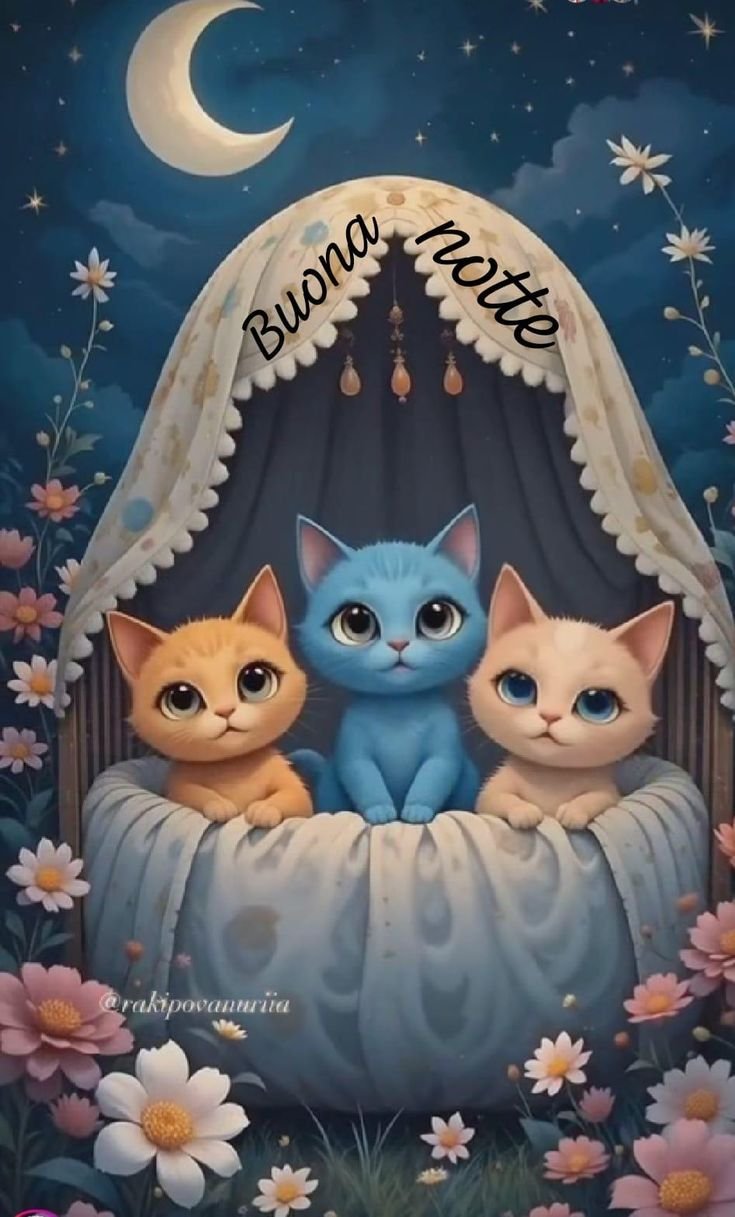 foto buonanotte estiva