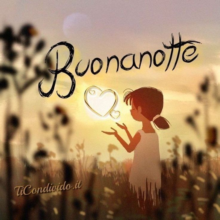 google buonanotte immagini google buonanotte immagini