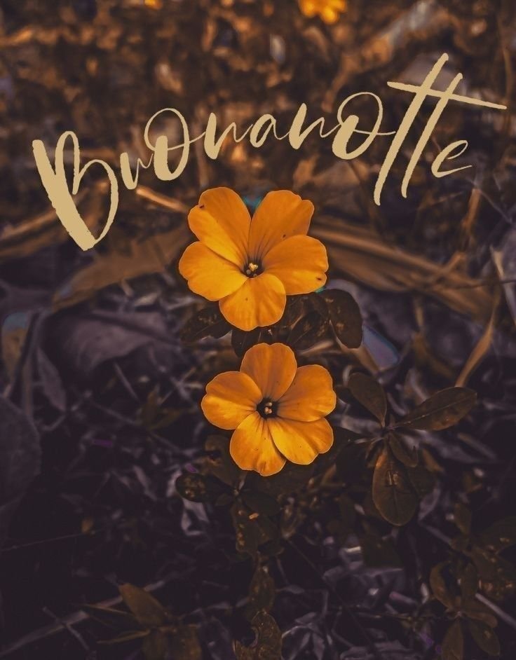 immagini buonanotte agosto