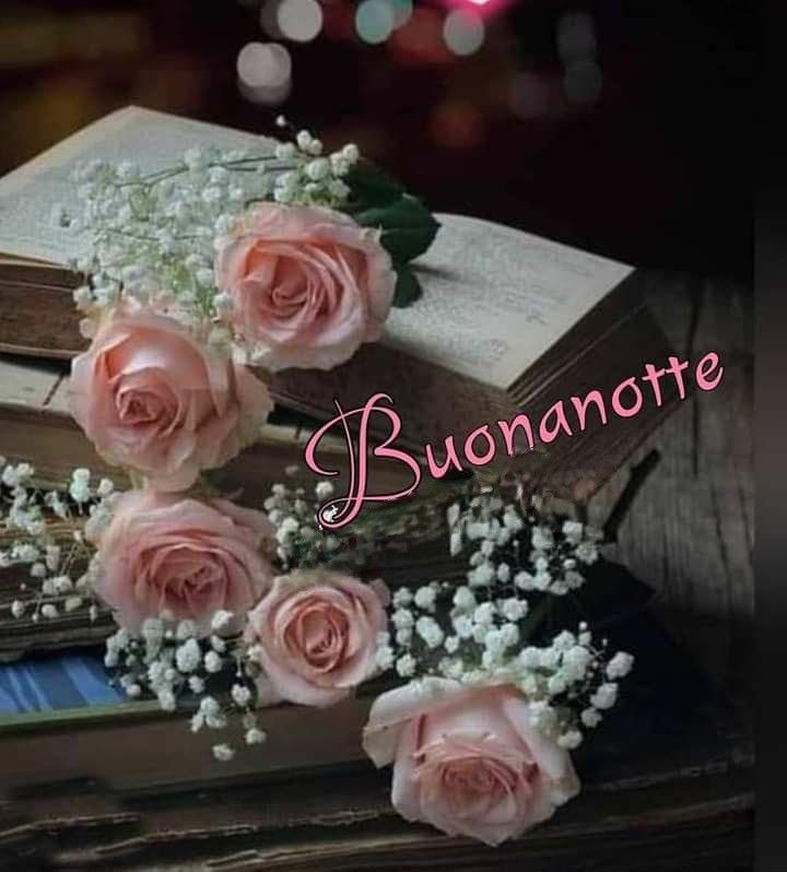 immagini buonanotte affettuose immagini buonanotte affettuose