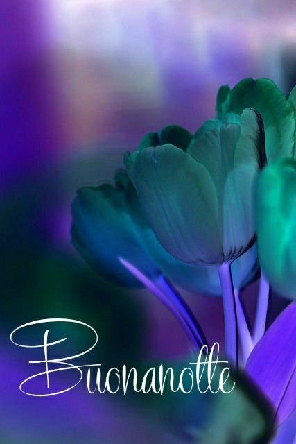 immagini buonanotte anni