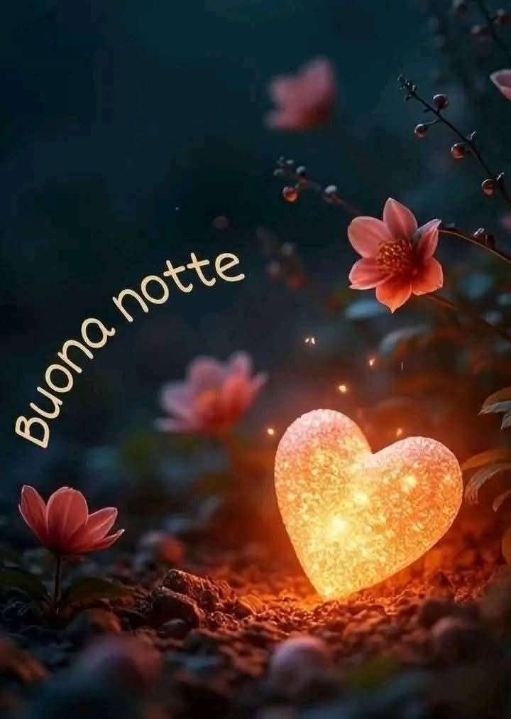 immagini buonanotte bellissime immagini buonanotte bellissime