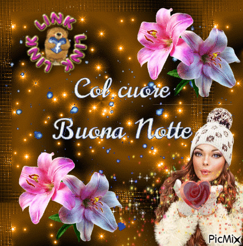 immagini buonanotte con affetto immagini buonanotte con affetto