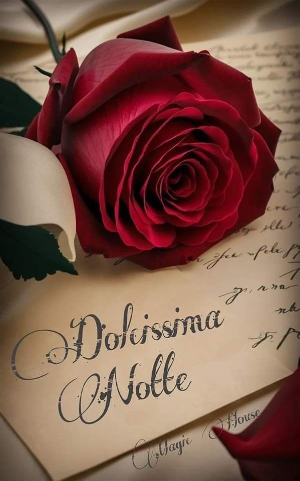 immagini buonanotte notte dolce immagini buonanotte notte dolce