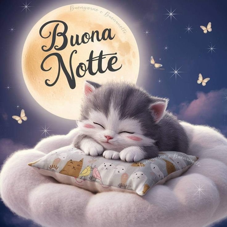 immagini buonanotte originali immagini buonanotte originali