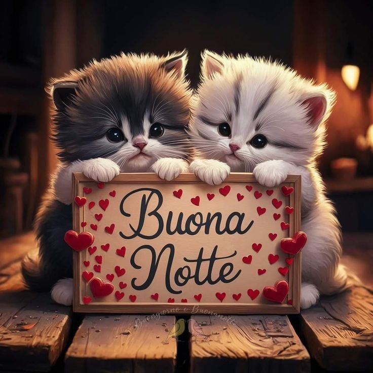 immagini buonanotte pinterest immagini buonanotte pinterest