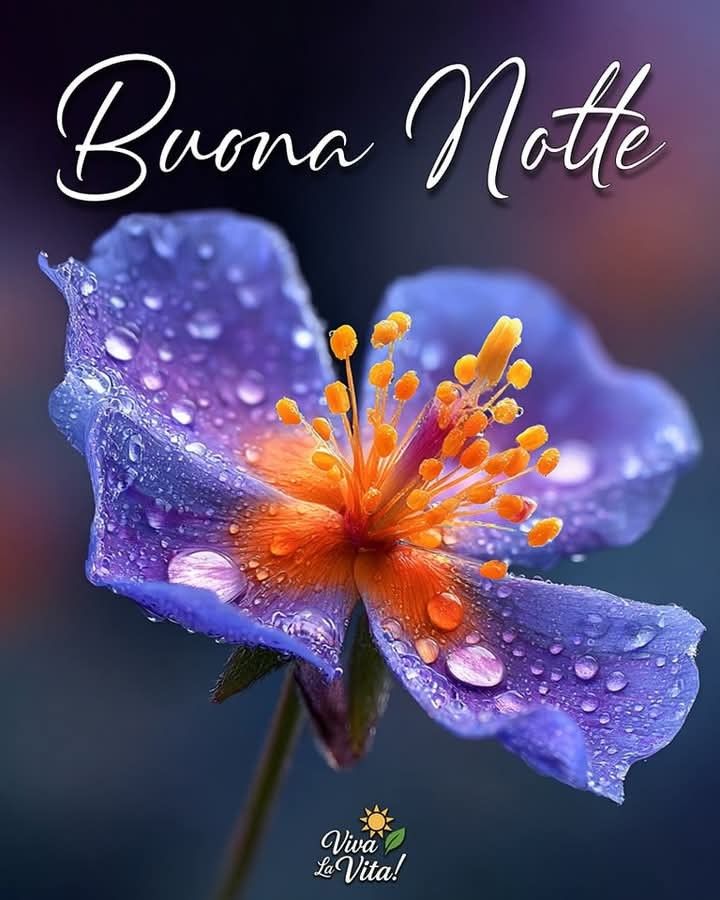 immagini buonanotte religiose immagini buonanotte religiose