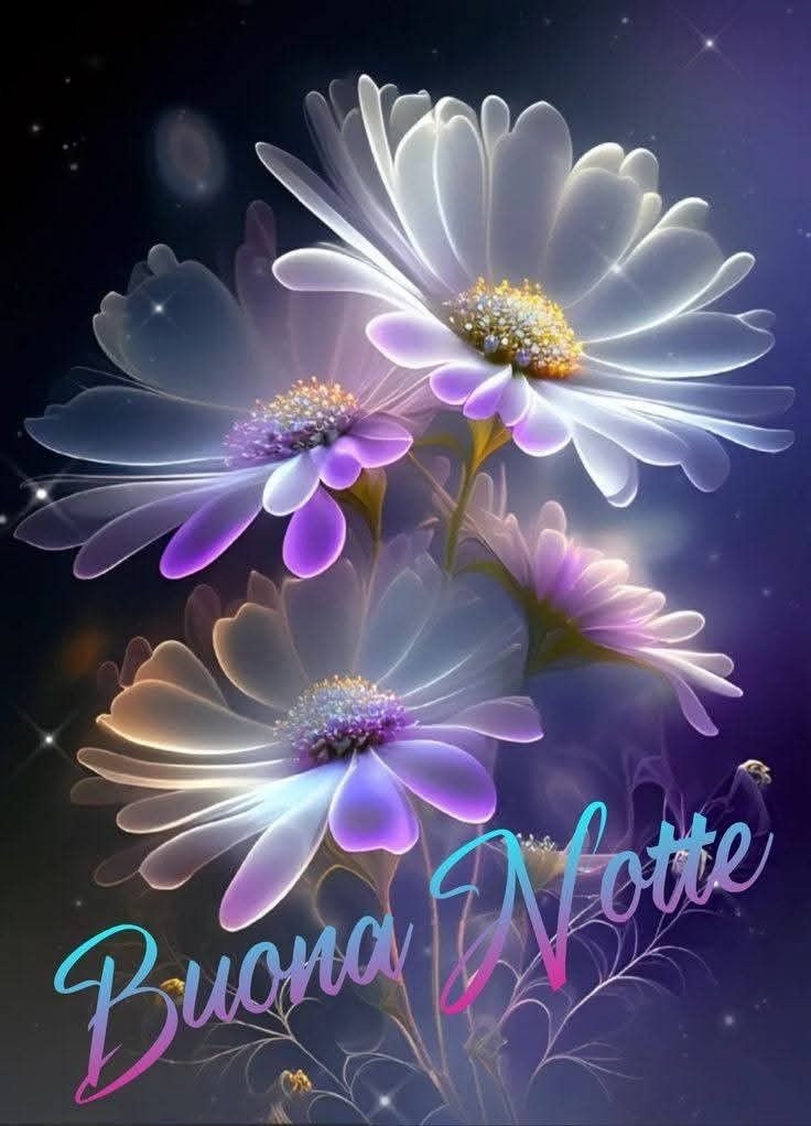 la mia buonanotte a domani la mia buonanotte a domani