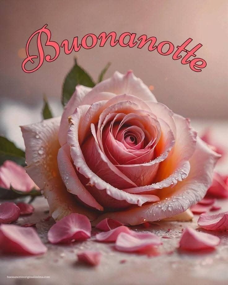 margy buonanotte a domani margy buonanotte a domani