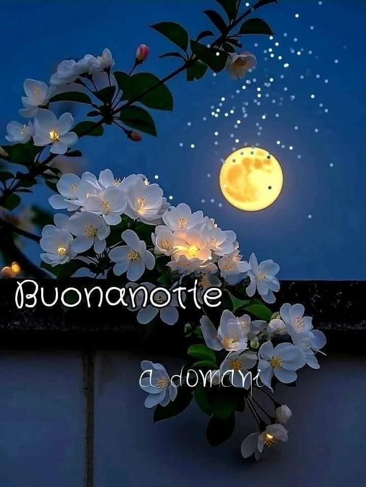 notte immagini buonanotte