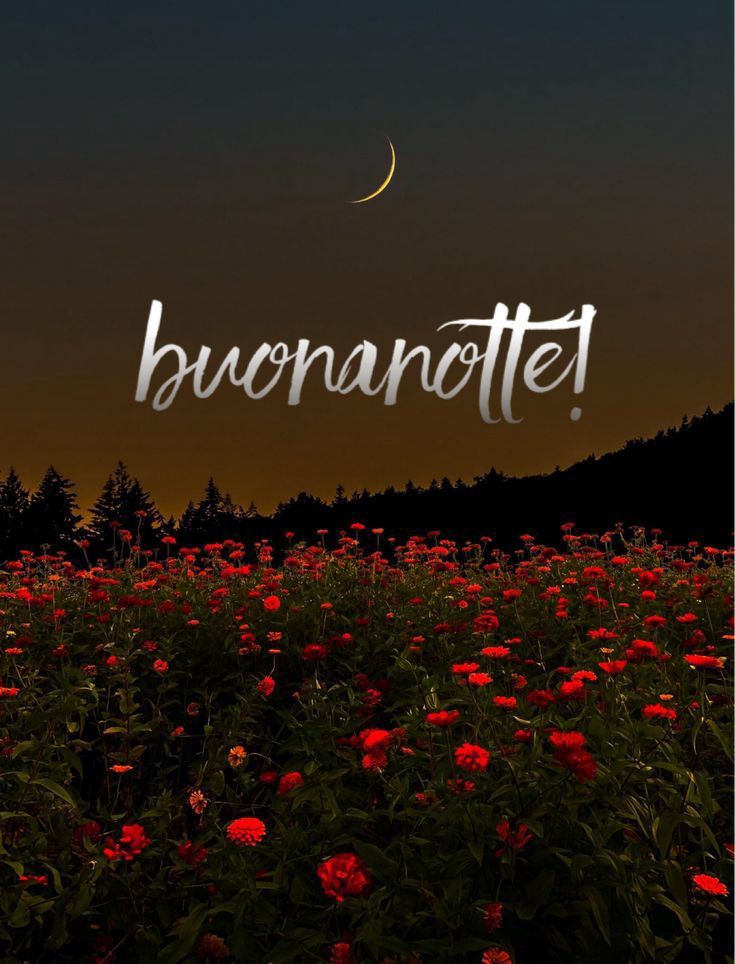 oltre l arcobaleno buonanotte immagini oltre l arcobaleno buonanotte immagini