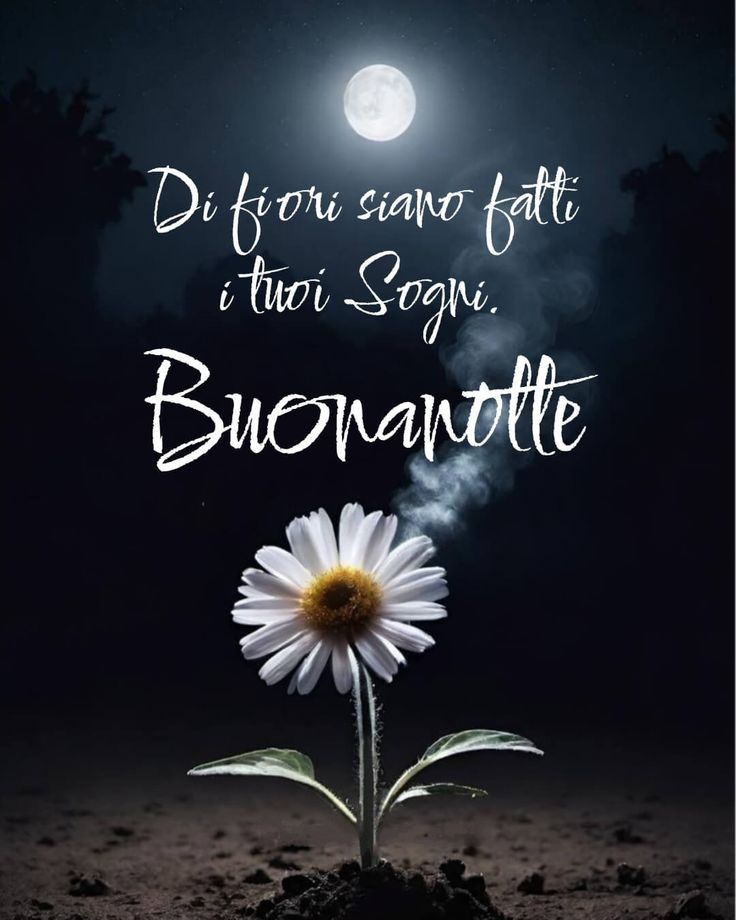 pensiero della buonanotte immagini