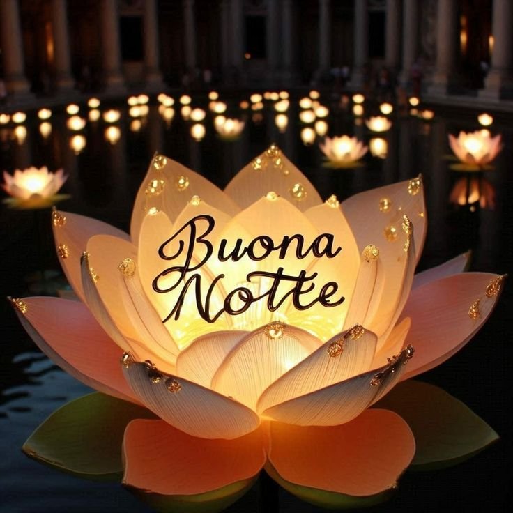 raggio di sole buonanotte immagini raggio di sole buonanotte immagini