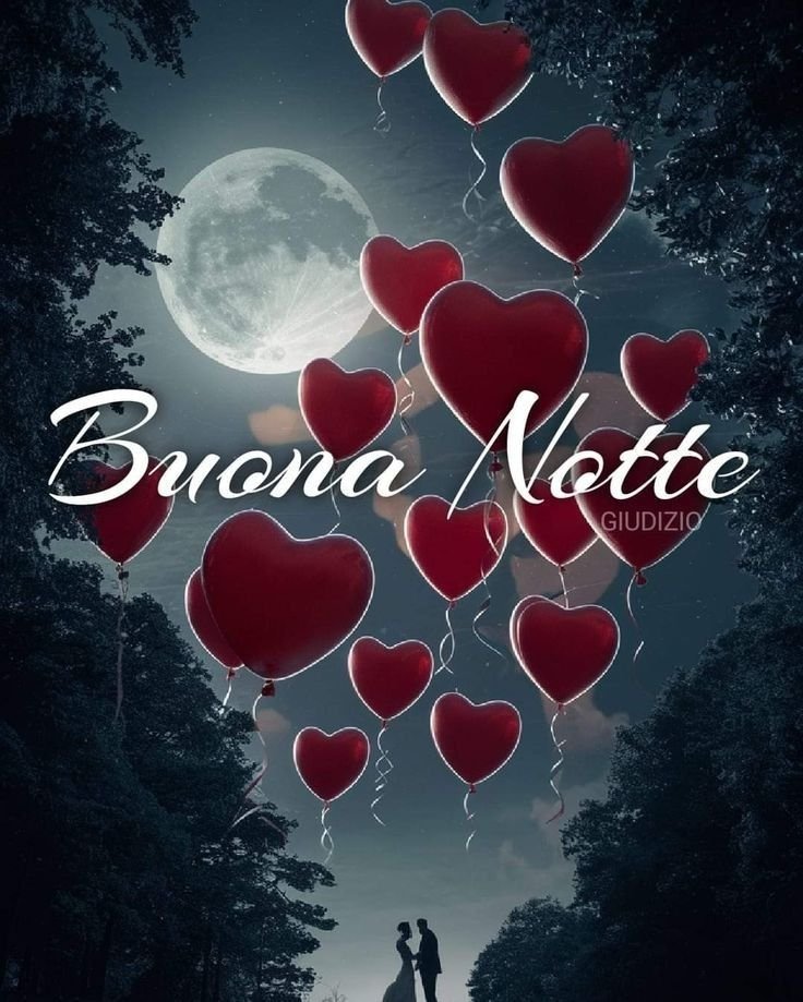 reaction buonanotte reaction buonanotte