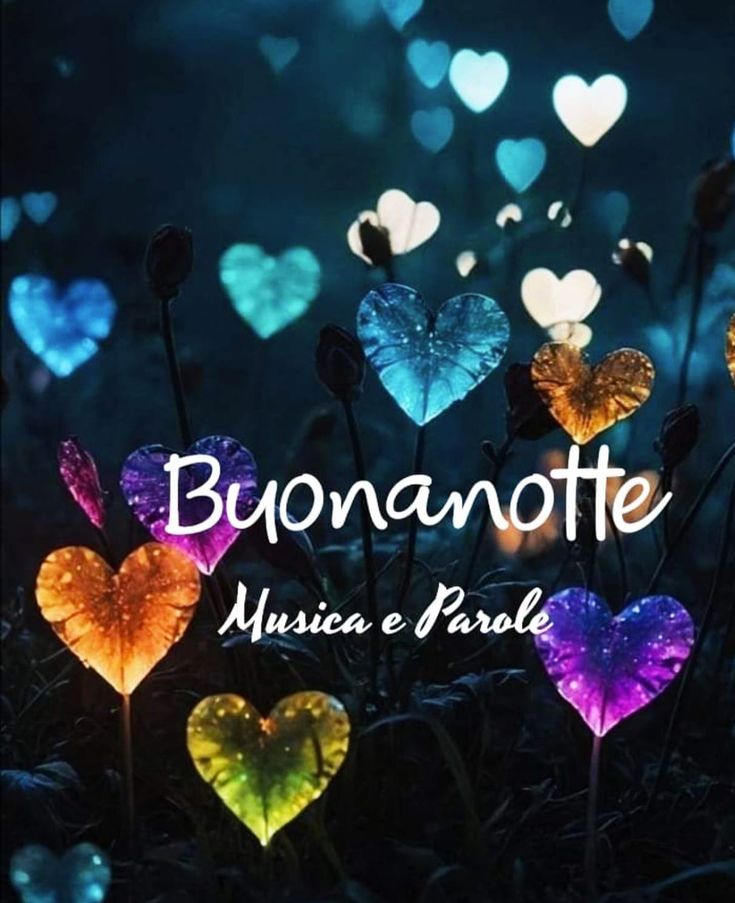 sogni d oro buonanotte immagini sogni d oro buonanotte immagini