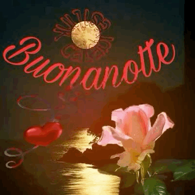 tik tok nuovissimo buonanotte immagini recenti tik tok nuovissimo buonanotte immagini recenti