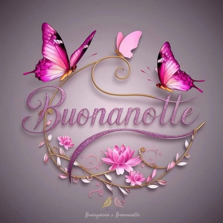 whatsapp immagini buonanotte belle gratis per whatsapp web